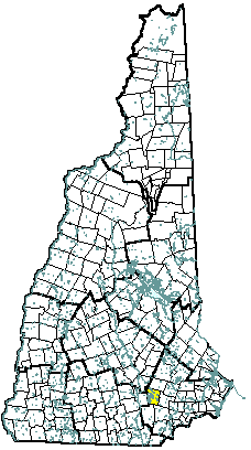 Auburn New Hampshire Community Profile